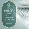 image:imagePampers Amore Size 1 814 lbs 198 Count Our Best Diaper  Hypoallergenic amp Fragrance Free Up to 100 Leakproof Soft as CashmereSize 2