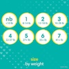 image:imagePampers Disposable Diapers Size 6 Swaddlers 108 Count  Overnight 42 Count