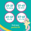 image:imageEasy Ups Girls amp Boys Potty Training Pants Size 4 2T3T 74 Count Peppa Pig Absorbent Training Underwear Up to 100 Leakproof Day and Night Hypoallergenic2T3T