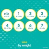image:imagePampers Disposable Diapers Size 7 Swaddlers 88 Count  Overnight 36 Count
