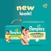 image:imagePampers Swaddlers Disposable Baby Diapers Size 1 198 Count with Sensitive Water Based Baby Wipes 12 FlipTop Packs 1008 Wipes TotalSize 1