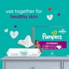 image:imagePampers Baby Dry Disposable Baby Diapers