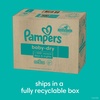 image:imagePampers Baby Dry Disposable Baby Diapers Starter Kit Sizes 1 252 Count amp 2 234 Count with Sensitive Water Based Baby Wipes 12 FlipTop Packs 1008 Wipes Total