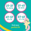 image:imagePampers Easy Ups Pull On Training Underwear Girls 2T3T 2 Month Supply 2 x 140 Count with Sensitive Water Based Baby Wipes 12X Multi Pack PopTop and Refill 1008 Count4T5T  12x