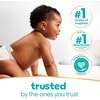 image:imagePampers Swaddlers Disposable Baby Diapers Size 7 2 Month Supply 2 x 88 Count with Sensitive Water Based Baby Wipes 12X Multi Pack PopTop and Refill 1008 Count