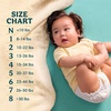 image:imagePampers Swaddlers Diapers Size 4 1534 lbs 120 Count  Sensitive Baby Wipes 504 Wipes Total 6X FlipTop Packs Packaging May VarySize 1  668